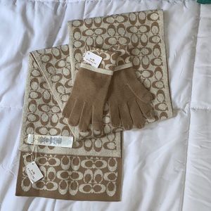 Cream and Gold Coach Scarf and Glove Set